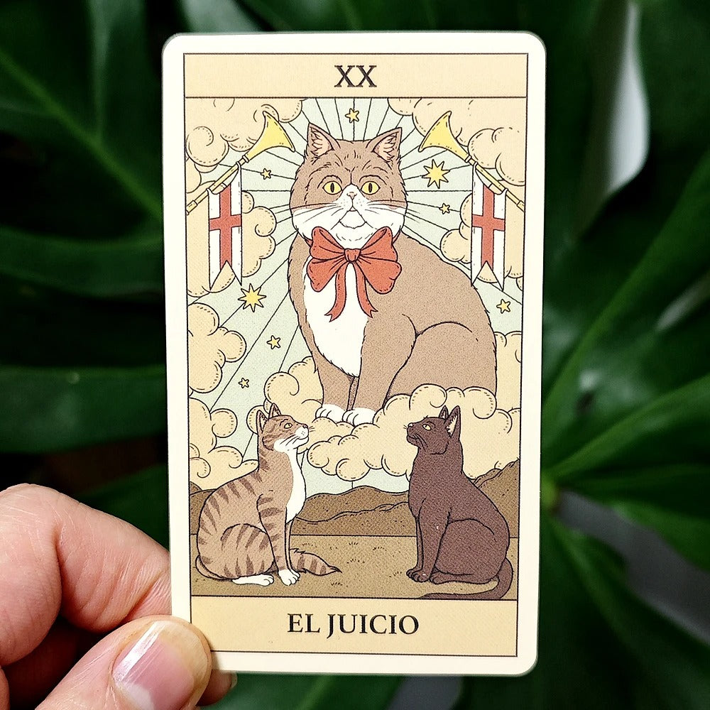 El Tarot de los Gatos — 78 Cards | Spanish Edition Cat Tarot with Guidebook